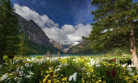 Lake Louise, Banff National Park - mountains, landscape, clouds, flowers, canada, trees