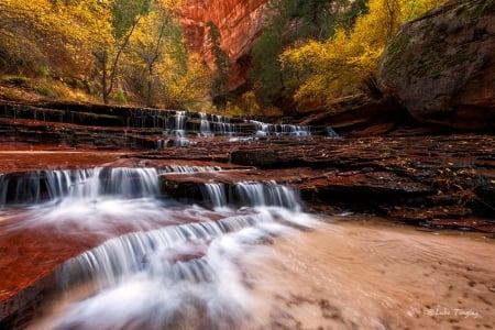 Archangel Falls, Zion National Park - usa, river, trees, cascades, autumn