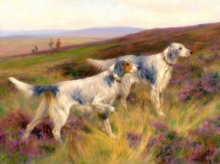 English Setter Hunting - hunting, fields, love four seasons, draw and paint, animals, dogs, paintings