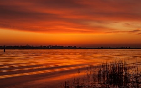 Night Sky - sky, sunset, night, river