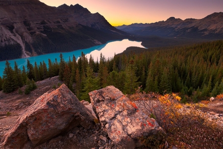 Peyto Lake, Banff National Park - firs, alberta, water, canada, mountains, sunset, rocks