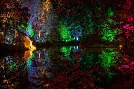 Park at night 3 - nature, night, park, light