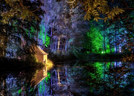 Park at night 4 - Light, Park, Nature, Night