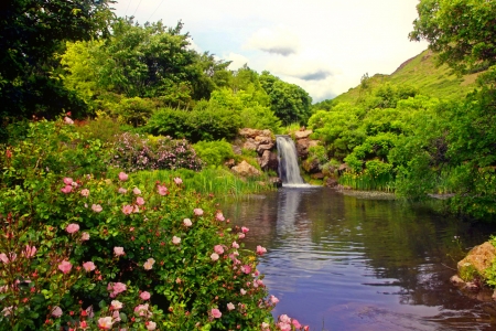 Beautiful garden - greenery, trees, pond, beautiful, bushes, flowers, waterfall, garden, sky, park