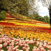 Island of Mainau, Germany