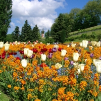 Isle of Mainau, Germany