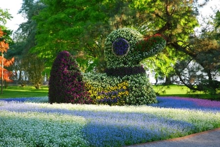 Island of Mainau, Germany - spring, tree, pansies, duck