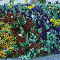 Isle of Mainau, Germany