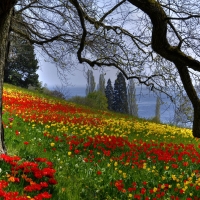 Island of Mainau, Germany