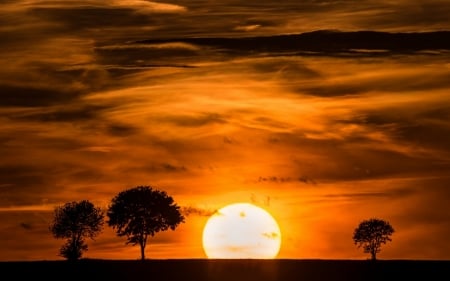 Sunset - sky, trees, sun, clouds