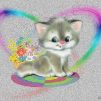 SWEET KITTY