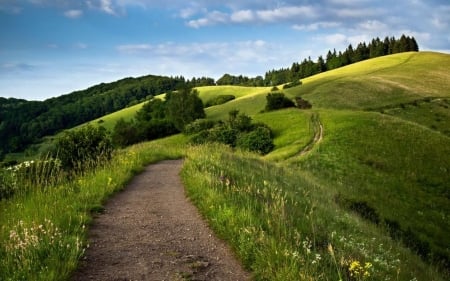 Paths - landscape, way, wallpaper, summer, field, path, road, spring, nature, scene