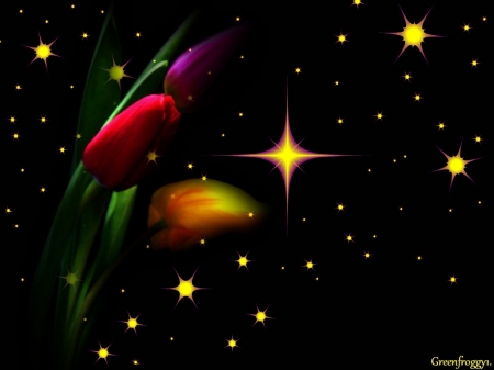 STARLIGHT TULIPS - tulips, creation, art, flower