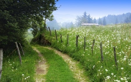 Paths IV. - summer, road, landscape, scene, spring, fence, paths, nature, field, way, wallpaper