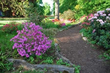 Island of Mainau, Germany - path, blossoms, bushes, sunshine, blooming