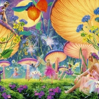 Fairies