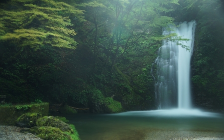 waterfalls - water, nature, tree, falls