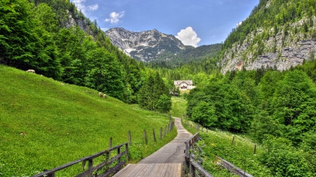 Mountains 24 - mountains, nature, sheeps, green