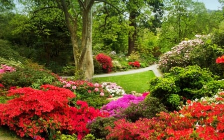 Garden View - flowers, trees, paths, colorful