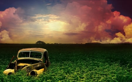 Field Of Dreams - clouds, field, auto, car