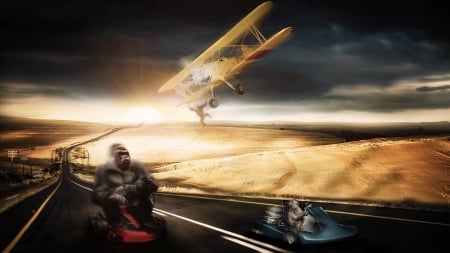 Monkey Fun - orangutan, macaque, monkey, desert, plane, gokart, baboon