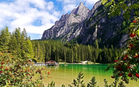 Lake - Mountain, Forest, Lake, Nature