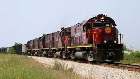 train - train, cool, field, fun, nature