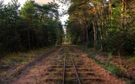 lonely rail track - nature, fun, forest, cool, rail track