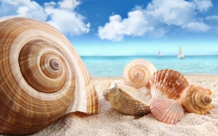 Happy Summer! - summer, blue, beach, boat, sea, sand, shell, cloud, sky