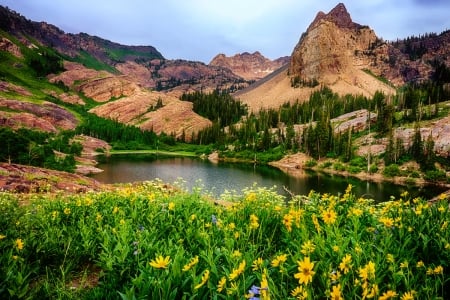 Mountain paradise - slope, lake, hills, mountain, paradise, nature, view, beautiful, wildflowers, cliffs