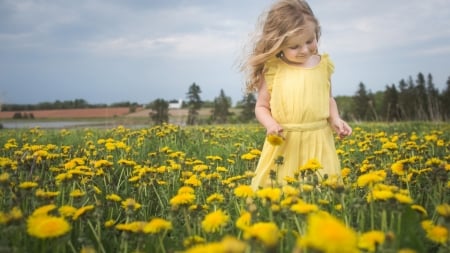 Cute Little Girl - mood, flowers, girl, meadow