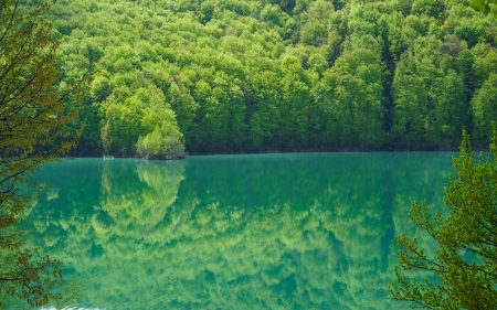 Lake - lake, water, nature, tree