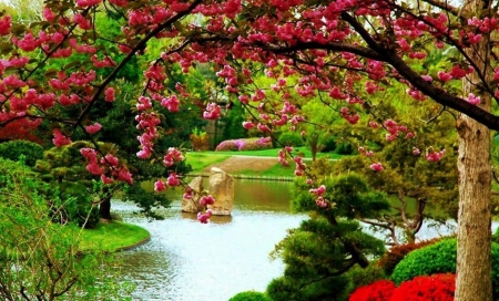 SPRING BLOSSOMS - nature, lake, landscape, trees, blossoms, splendor, flowers