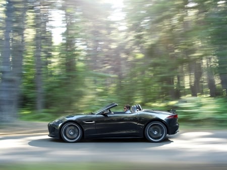 jaguar f type - british, convertible, jaguar, charcoal