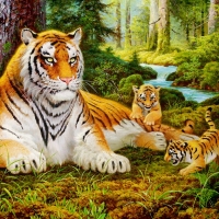 Tigers family