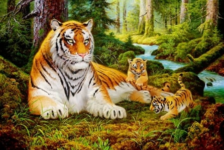 Tigers family