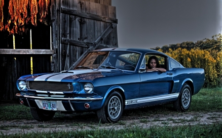 Ford - Ford, shelby, car, mustang