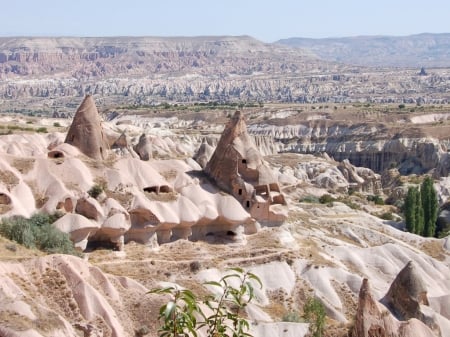 Cave City - cactus, cave, desert, mountain