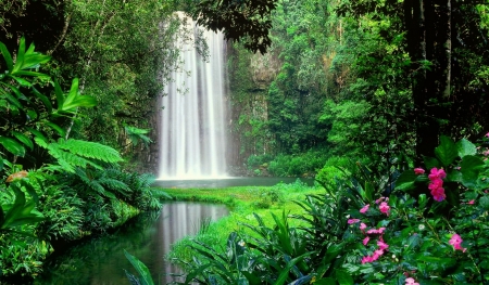 Forest fall - trees, forest, beautiful, greenery, summer, waterfall, wildflowers