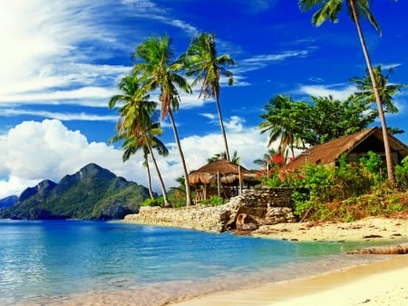 Tropical scenery