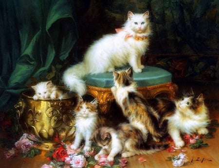 White Queen - roses, furry, paintings, kittens, cute, cats, love four seasons, draw and paint, animals