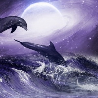 Moonlit Dolphins