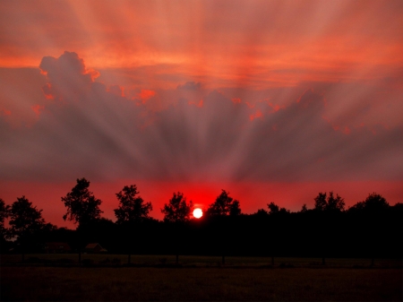 Amazing Sunset - nature, sunset, trees, lights