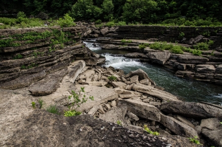 Carny Fork River - fun, river, nature, forest, cool