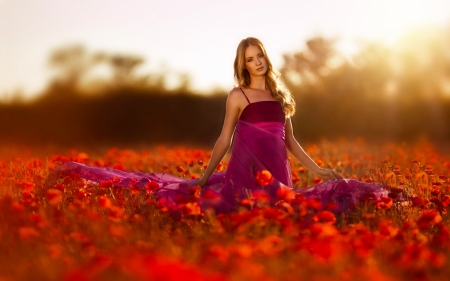 Blonde at Sunset - woman, beauty, sunset, dream, field, model, portrait, blonde, poppy, dress