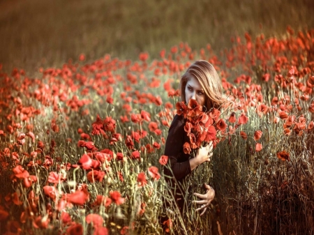 Beauty of Summer - field, flowers, girl, poppies