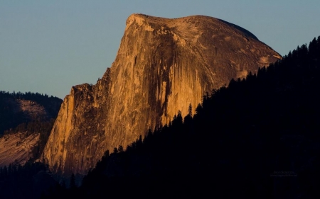 Half dome - abstract, pine forest, photography, rock, landscape, scene, sunrise, forest, mountain, dawn, sunset, nature, pine, dusk, wallpaper