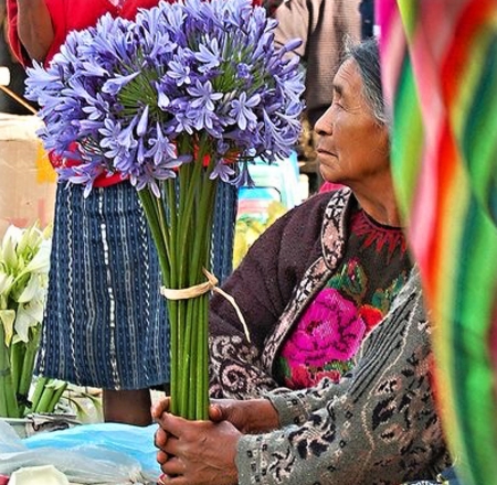 The most beautiful bouquet of flowers - flowers, purple, woman, beautiful