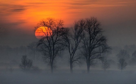 Wonderful Sunset - winter, sunset, wonderful, trees