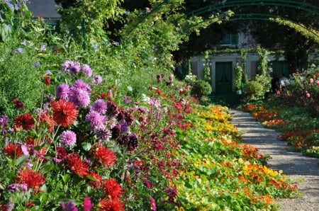 Garden Path - house, bush, blossoms, colors, flower